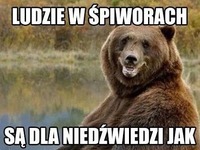 Są dla niedźwiedzi jak... XD