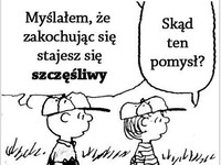 skąd ten pomysł?