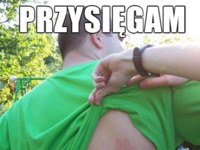 Przysięgam tam był komar! :P