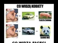 Inny punkt widzenia kobiet i mężczyzn... Zobacz różnicę!