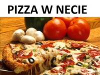 pizza w necie, pizza w świecie