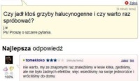 Czy warto spróbować grzybków? ;D Zobacz opinie kogoś kto to brał ;D