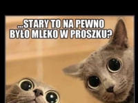 Stary to na pewno było mleko w proszku? :D