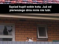 Sąsiad i jego kotek