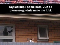 Sąsiad i jego kotek