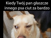 widzę to!