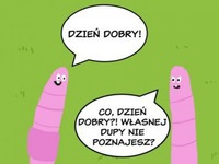 Nie poznał