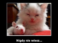 Nigdy nie wiesz