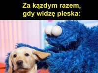 Kiedy widze psa - Copy