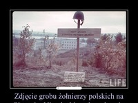 Zdjęcie grobu żołnierzy polskich zrobione na Oksywiu w Gdyni. Napis głosi...