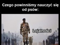 Czego powinniśmy uczyć się od psów, a nauczyliśmy się tylko jednego :(