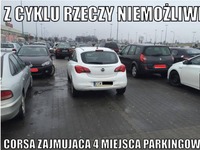 Mistrz parkowania