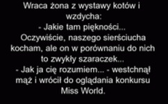 jak ja cie rozumiem