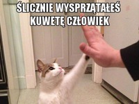 Bardzo ładnie, człowieku!