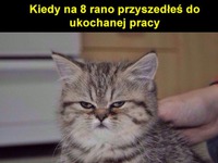 Ukochana praca