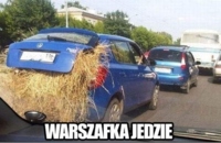 Warszawiak