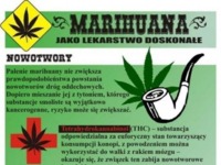 MARIHUANA jako lekarstwo doskonałe! MASAKRA :D