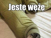 Jeste wężę