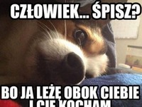 śpisz?