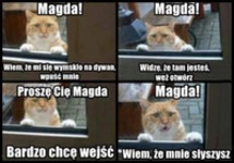 Magda! Wpuść koteła :D