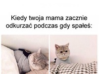 Kiedy tak robi