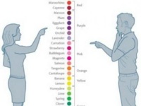 Jak widzą kolory kobiety, a jak mężczyźni? PRAWDA ;D