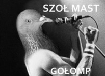 Golomp XD