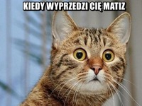 Wyprzedza matiz