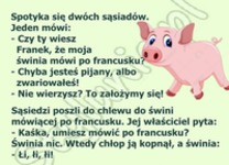 Ten facet udowodnil, że ma swinie mówiącą po francusku! HAHA