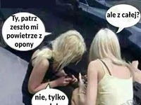 Blondynki złapały GUMĘ! Zobacz co powiedzaiły!