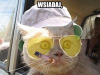 WSIADAJ!