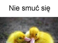 daj dziubka