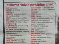 Takich słów uzywa MLODZIEŻ zdaniem pewnej gazety... PORAŻKA!