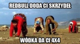 Skrzydła