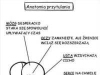 Anatomia przytulania