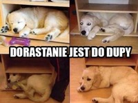 dorastanie :(