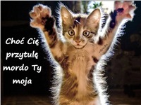 Mordo Ty moja
