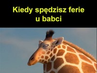 ferie u babci