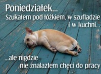 Gdzie ta motywacja