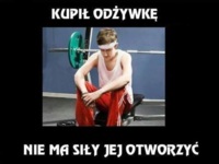 Odżywka