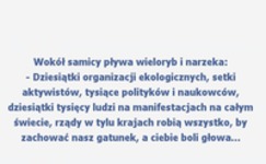 Wokół samicy pływa wieloryb i narzeka... :D