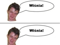 Wiśnia