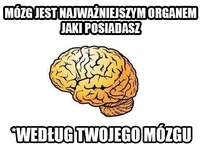 W sumie to można powiedzieć, że jest z niego mały NARCYZ ;D