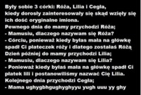 Matka miąła trzy córki Różę, Lilię i Cegłę Pewne dnia spytały się dlaczego mają takie imiona. Dlaczego cegła :D