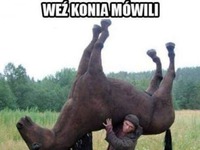 Weź konia