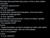 Przychodzi mąż z pracy... Żona pyta "Może byś naprawił kran?" haha ZOBACZ jak to się skończyło :)