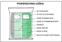 Podział łózka w związku! Zobacz jak wygląda typowy podział ;)