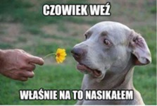 Czowiek weź