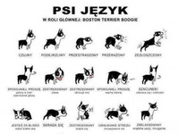 Psi język! Przyda sie wszystkim :D