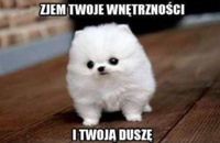 Zjem twoje WNĘTRZNOŚCI :D